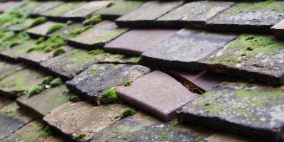 Rhydargaeau roof repair costs